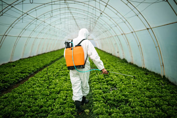 Best Affordable Pest Control Services  in State Line, PA